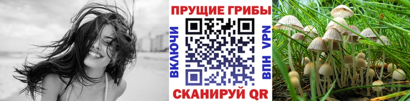 Галлюциногенные грибы Cubensis  где купить наркотик  Сосногорск 